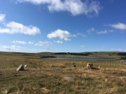 aubrac-inoublaible---pascal-bruneau---38