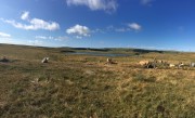 aubrac-inoublaible---pascal-bruneau---39