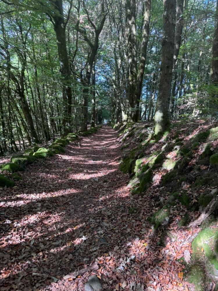 Mont-Ambazac-chemin Mont-Ambazac-chemin