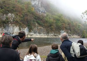Observations naturalistes sur les bords de la rivière Dordogne