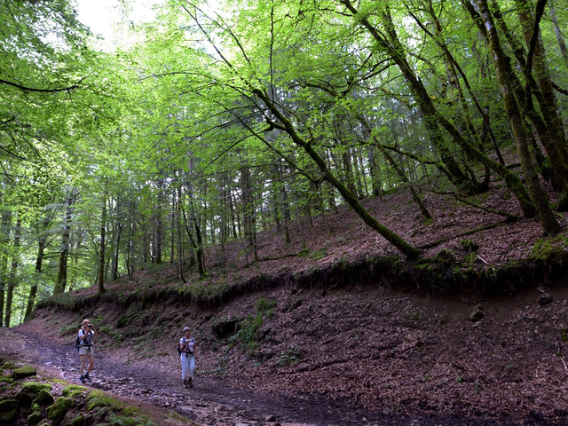 Plateau de Millevaches Retrouvance