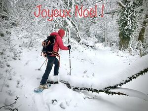 Joyeux Noel BAML