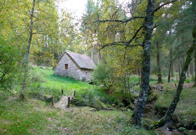 moulin